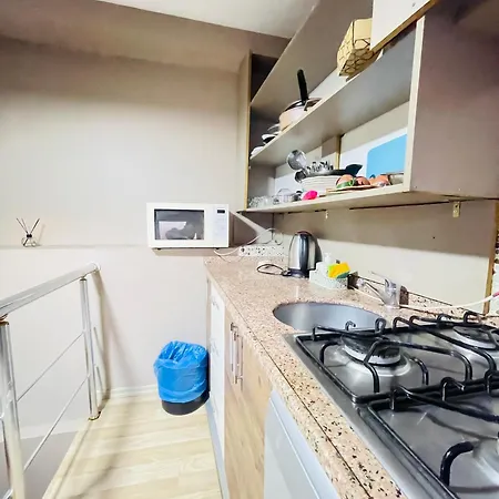 Taksim Historic House מלון *